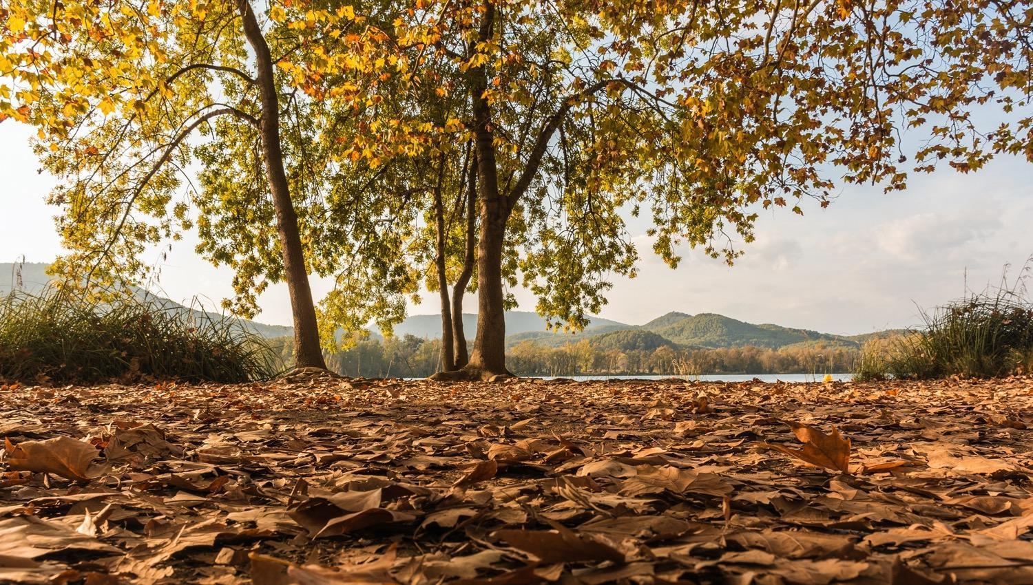 Camping Bungalow El Llac De Banyoles Porqueres Zewnętrze zdjęcie